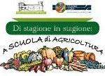 Festa Mercato