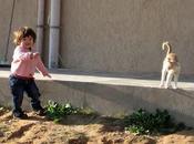 come gatto: gatti libici Roba Gatti.