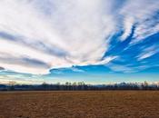cielo Merlo