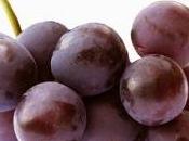 Santa Margherita Belice Rosso