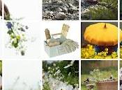 TRADIZIONI Collage PRIMAVERA