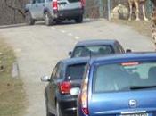 gita emozionante, coinvolgente all’aria aperta