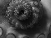 Napoli: sequestrate tonnellate prodotti scaduti.