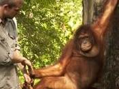Scienziati accorgono l’uomo uomo scimmia