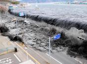 anno tragedia Fukushima