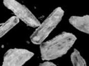 Roma: lotta allo “shaboo” quartieri sud-est della capitale. controlli antidroga portano sette persone galera