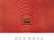 Alla scoperta della linea Rosa