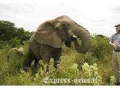 Mandria elefanti l'ultimo addio amico umano