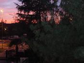mondo colori