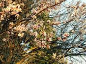 Spring power