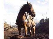 Horse Spielberg
