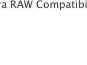 Rilasciato Digital Camera Compatibility 3.10