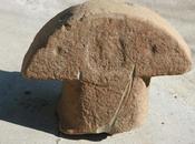 stele campo provincia Massa