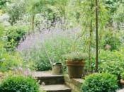 Imparare coltivare orto internet