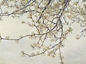 primavera, vivere lentezza