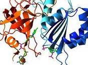 Trascrizione sintesi proteica