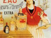 L'importazione olio oliva straniero raggiunto massimo storico 584mila tonnellate superato produzione nazionale