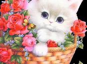 Gattina indifesa RomanticaVany Iannozzi Giuseppe King Lear