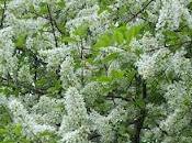 Previsioni meteo informatiche