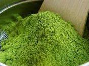 Torta verde matcha