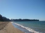 beautiful Kiwi beaches bellissime spiagge