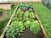 Primavera: italiano nell'orto