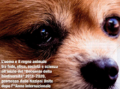 “Negli occhi degli animali”: pensieri teologo “eretico”