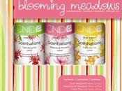 Scentsations Lotions Blooming Meadows Collection