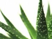 Erbania cosmetici all’ aloe vera