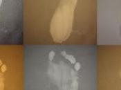 piedi nella Bottega mistero