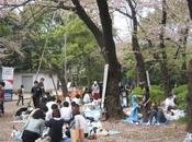 Hanami 2012