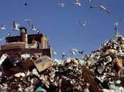 Mafia discariche, sedici condanne nell'operazione “Vivaio”