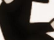 Roma: topo d’appartamento bloccato condomino carabiniere